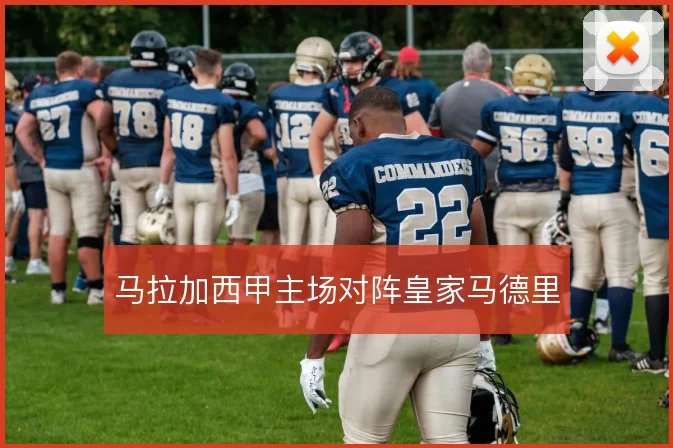 马拉加西甲主场对阵皇家马德里